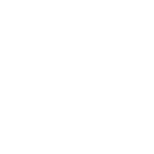 Icono Consultar